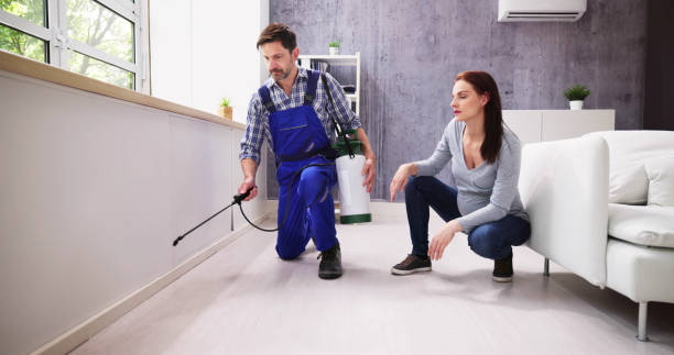 Emergency Pest Control in Home, WA